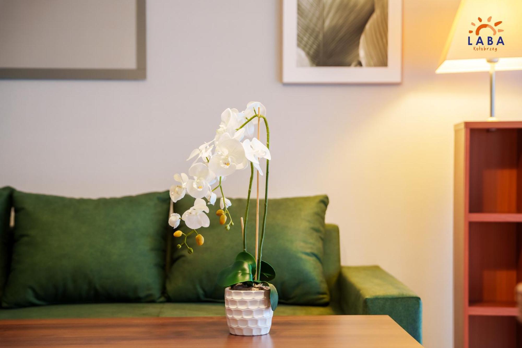 Laba Kolobrzeg Apartamenty Zielone Tarasy Exteriér fotografie